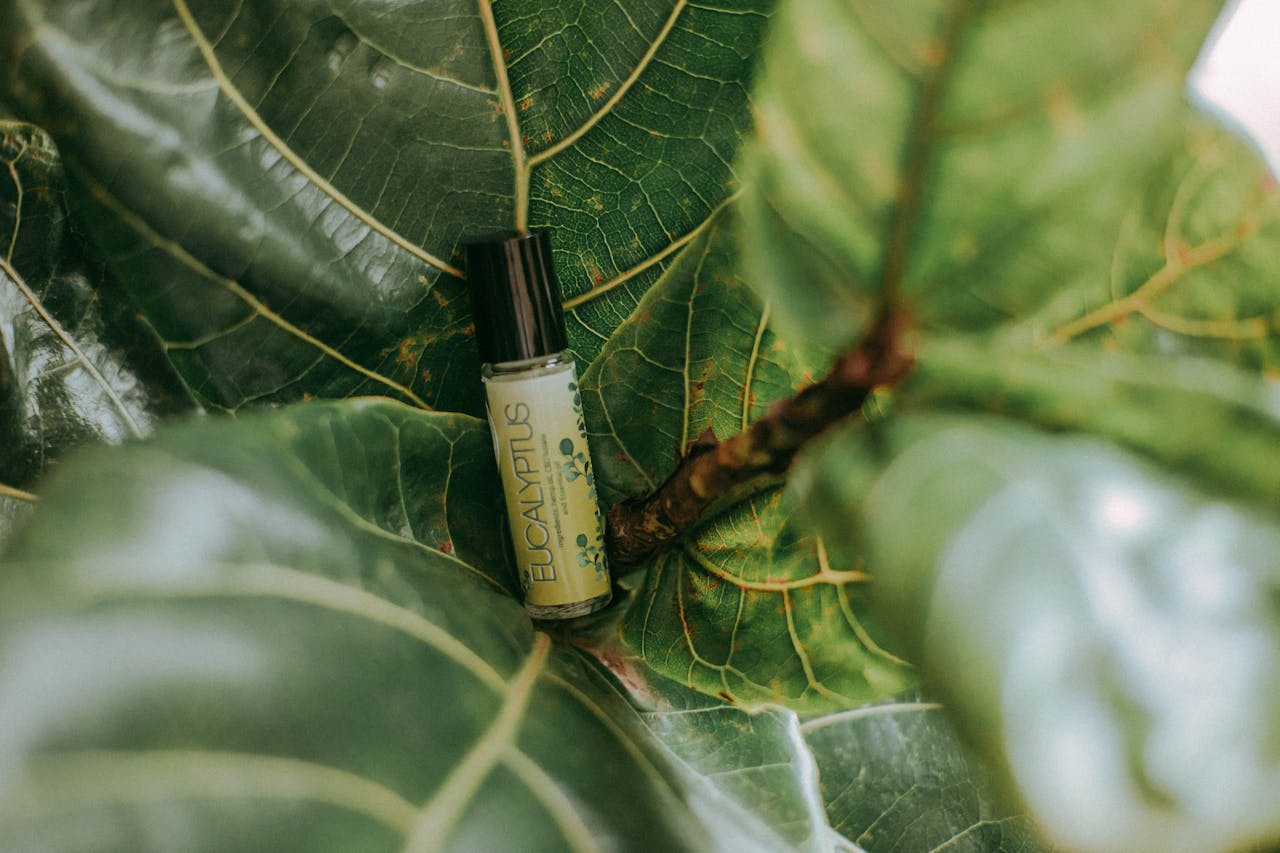 Cannabis Guest Post Placement How to Get Links That Actually Rank